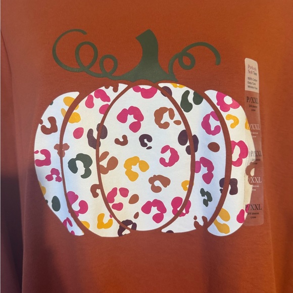 NWT  #FALL2025🍁 Kim Rogers Rust Pumpkin Animal Print Top  2X/PETITE    #CL - Picture 3 of 7